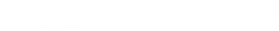 Логотип HOT IRON (белый)